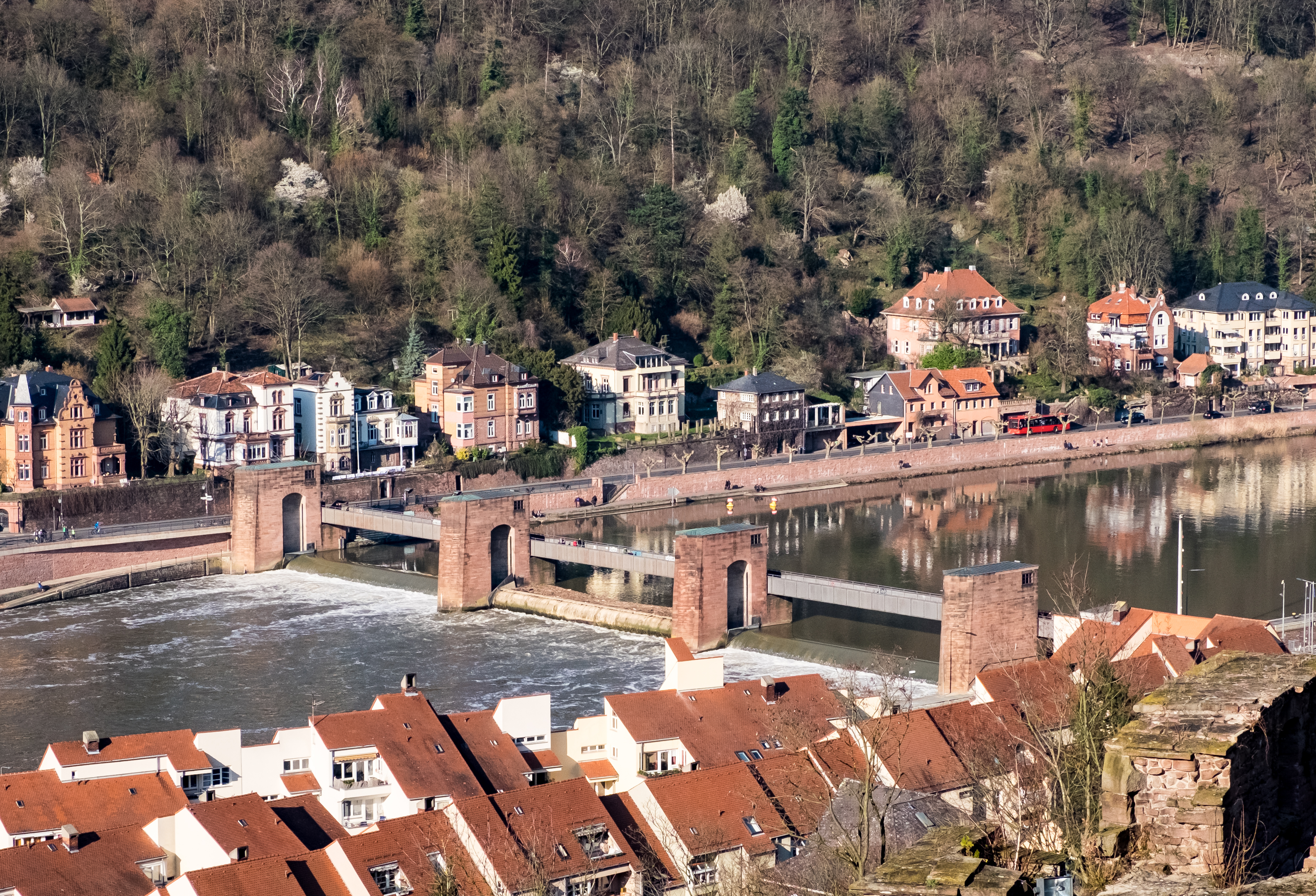 Brothel in Heidelberg